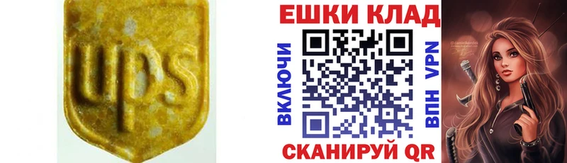 ссылка на мегу   Ясногорск  Экстази Philipp Plein 