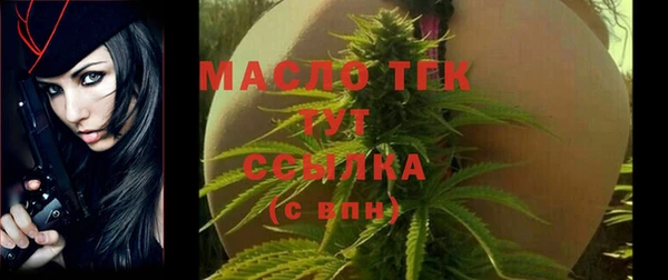 дживик Верхний Тагил