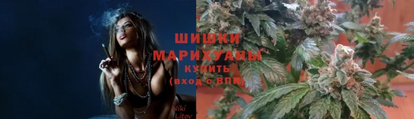 тгк Магадан